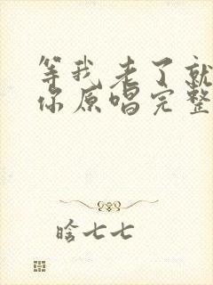 等我老了就去找你原唱完整版