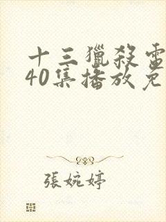 十三猎杀电视剧40集播放免费观看