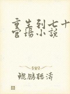 重生到七十年代官场小说