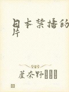 日本禁播的动画片封面