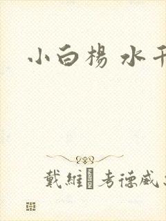 小白杨 水千丞封面