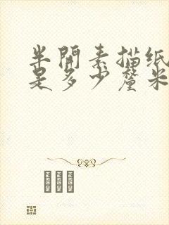 半开素描纸尺寸是多少厘米