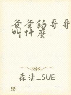 爸爸的哥哥老婆叫什么