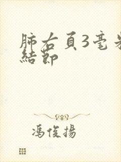 肺右页3毫米小结节