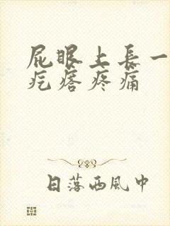 屁眼上长一个硬疙瘩疼痛