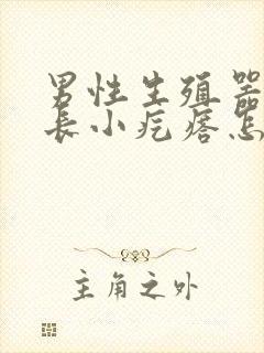 男性生殖器上面长小疙瘩怎么回事