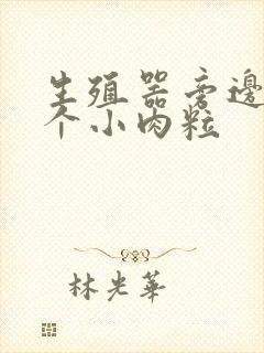 生殖器旁边长了个小肉粒