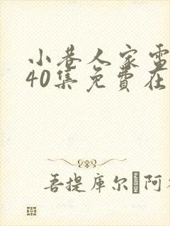 小巷人家电视剧40集免费在线观看