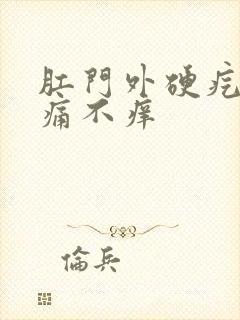 肛门外硬疙瘩不痛不痒