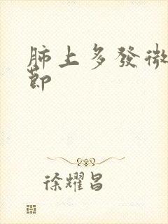 肺上多发微小结节