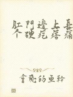 肛门边上长了一个硬疙瘩痛