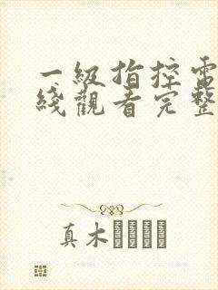 一级指控电影在线观看完整版封面