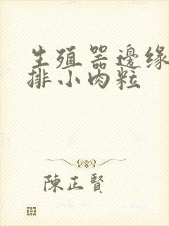 生殖器边缘有一排小肉粒