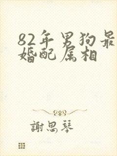 82年男狗最佳婚配属相