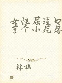 女性尿道口里面有个小疙瘩怎么回事