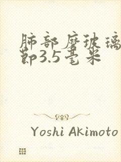 肺部磨玻璃肺结节3.5毫米