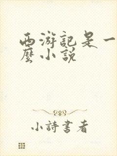 西游记是一个什么小说封面