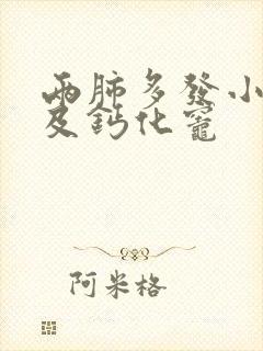 两肺多发小结节及钙化灶