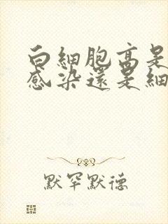 白细胞高是病毒感染还是细菌感染