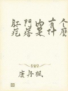 肛门内有个小硬疙瘩是什么