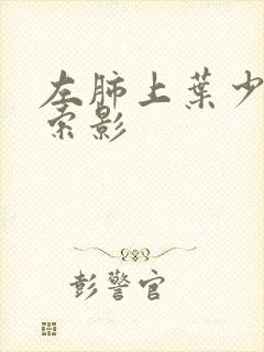 左肺上叶少许条索影