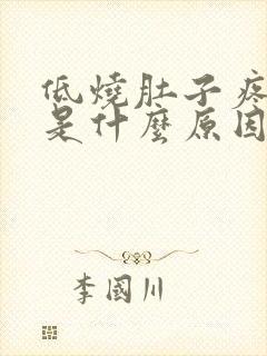 低烧肚子疼呕吐是什么原因引起的