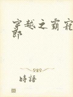 穿越之霸宠小夫郎