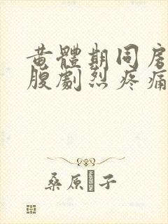 黄体期同房后小腹剧烈疼痛