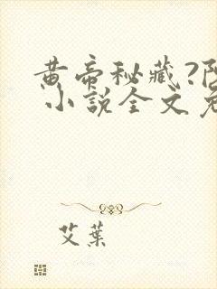 黄帝秘藏?陈启 小说全文免费阅读