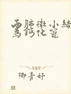 两肺微小结节多为钙化灶