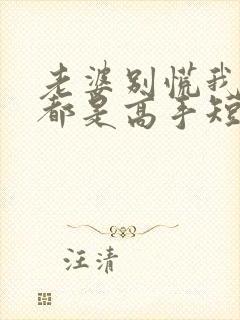 老婆别慌我全家都是高手短剧合集