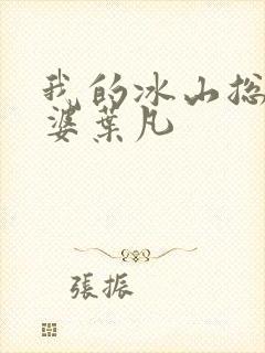 我的冰山总裁老婆叶凡