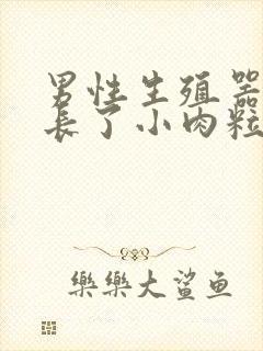 男性生殖器周围长了小肉粒封面