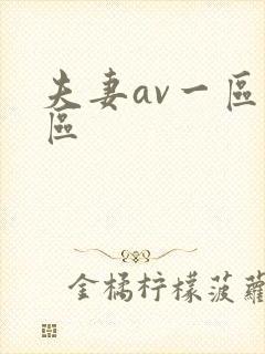 夫妻av一区二区封面