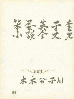 笨蛋英子李力雄小说全文免费阅读无弹窗封面