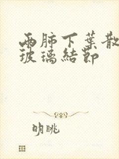 两肺下叶散在磨玻璃结节