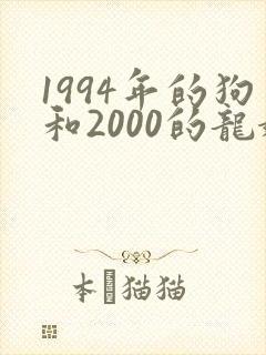 1994年的狗和2000的龙婚配?