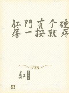 肛门有个硬的疙瘩一按就疼