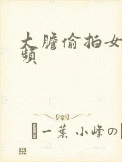 大胆偷拍女厕视频