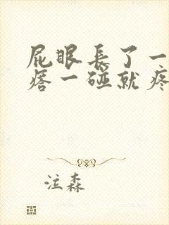 屁眼长了一个疙瘩一碰就疼