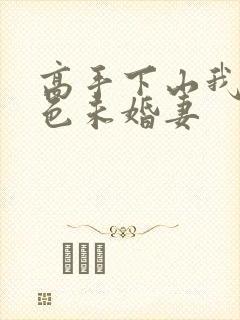 高手下山我的绝色未婚妻