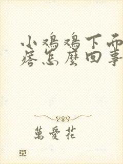 小鸡鸡下面小疙瘩怎么回事