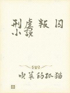 刑虐 叛 囚 小说封面