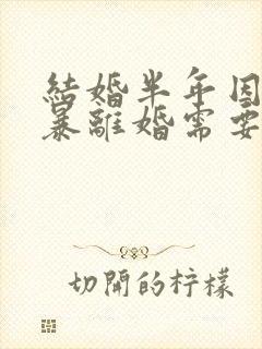 结婚半年因为家暴离婚需要退彩礼吗