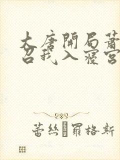 大唐开局萧皇后召我入寝宫林辰小说免费阅读