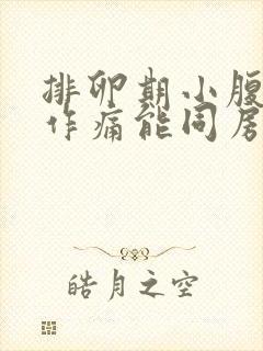 排卵期小腹隐隐作痛能同房吗