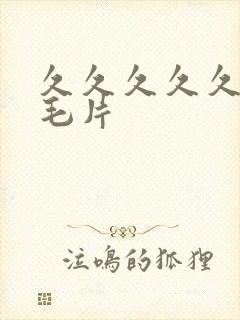 久久久久久国产毛片封面