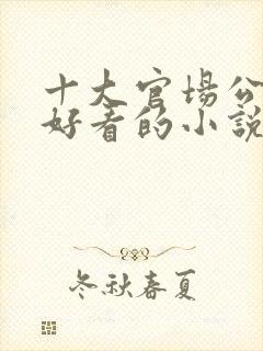 十大官场公认最好看的小说