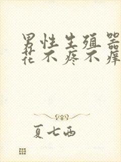 男性生殖器长菜花不疼不痒