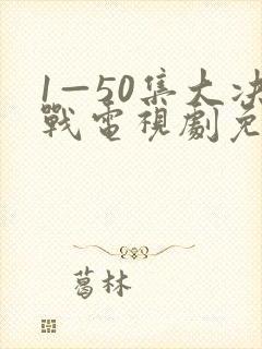 1—50集大决战电视剧免费观看